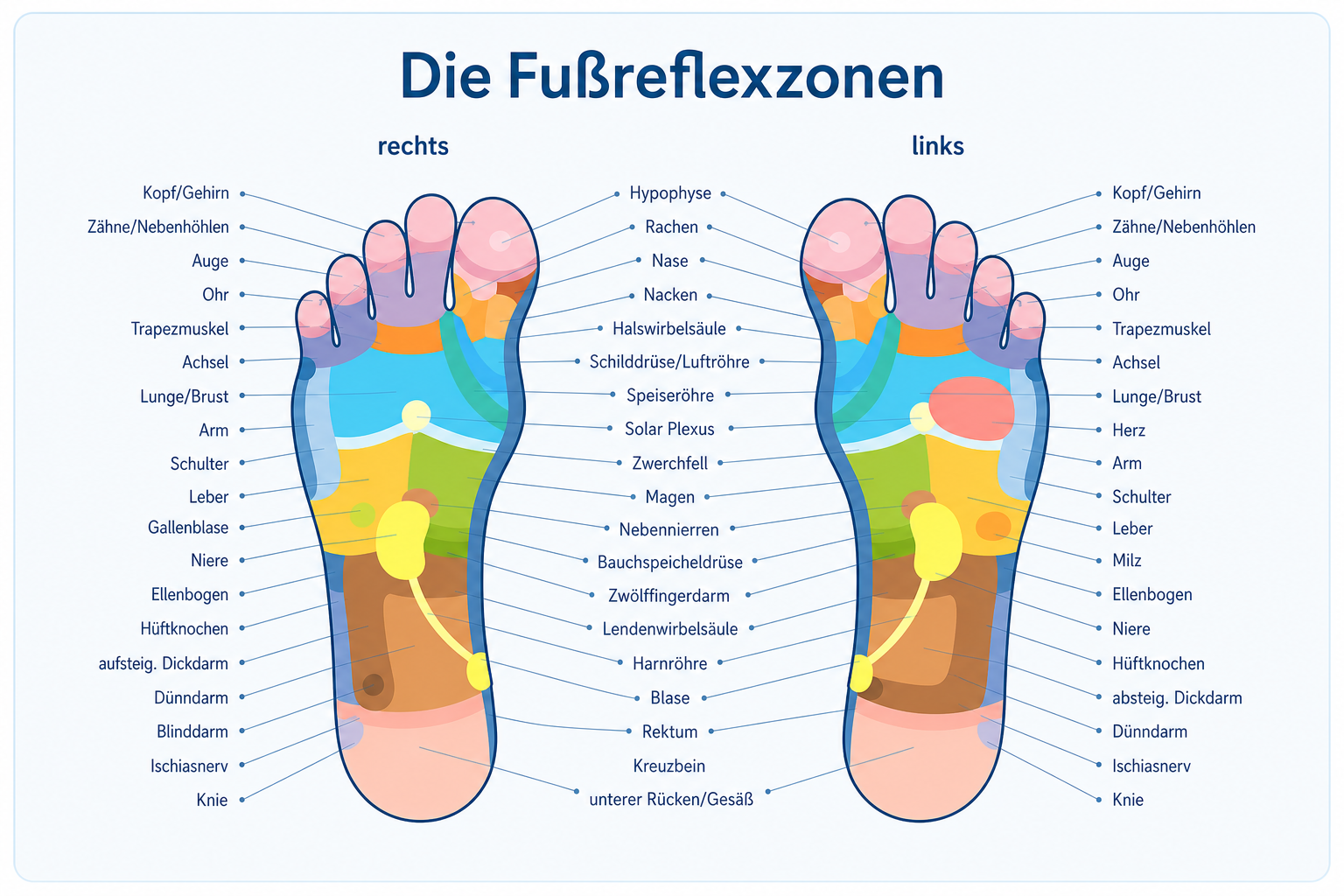 Moderne &Uuml;bersicht traditioneller Fu&szlig;reflexzonen